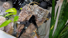 Load image into Gallery viewer, 9" Flower Amethyst Crystal Cluster on Stand
