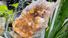 Load image into Gallery viewer, 5" Goethite &amp; Citrine Quartz Crystal Cluster

