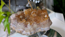 Load image into Gallery viewer, 5" Goethite &amp; Citrine Quartz Crystal Cluster
