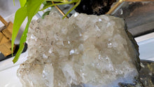 Load image into Gallery viewer, 4" Olive Citrine Crystal Cluster
