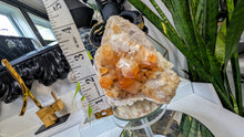 Load image into Gallery viewer, 4" Citrine Quartz Crystal Cluster
