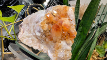 Load image into Gallery viewer, 4" Citrine Quartz Crystal Cluster
