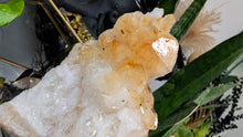Load image into Gallery viewer, 5" Citrine Quartz Crystal Cluster
