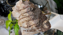 Load image into Gallery viewer, 5" Citrine Quartz Crystal Cluster
