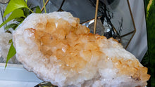 Load image into Gallery viewer, 6" Citrine Quartz Crystal Cluster
