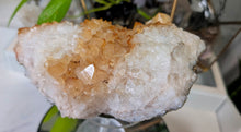 Load image into Gallery viewer, 6" Citrine Quartz Crystal Cluster
