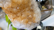 Load image into Gallery viewer, 6" Citrine Quartz Crystal Cluster
