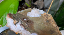 Load image into Gallery viewer, 6" Citrine Quartz Crystal Cluster
