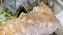 Load image into Gallery viewer, 10" Citrine Quartz Crystal Cluster
