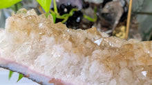 Load image into Gallery viewer, 10" Citrine Quartz Crystal Cluster
