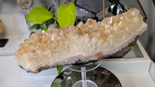 Load image into Gallery viewer, 10" Citrine Quartz Crystal Cluster
