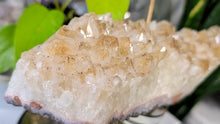 Load image into Gallery viewer, 10" Citrine Quartz Crystal Cluster
