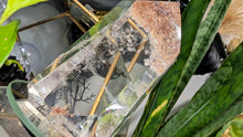 Load image into Gallery viewer, 4" Lodolite Garden Phantom Quartz Crystal Tower
