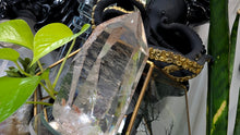 Load image into Gallery viewer, 4" Lodolite Garden Phantom Quartz Crystal Tower
