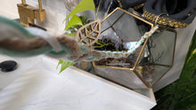 Load image into Gallery viewer, Braided Accessory (rearview mirror, purse, jeans,etc)
