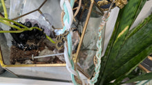 Load image into Gallery viewer, Braided Accessory (rearview mirror, purse, jeans,etc)

