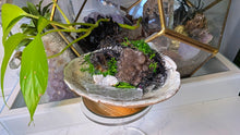 Load image into Gallery viewer, Smokey Amethyst, Quartz, &amp; Selenite in Seashell
