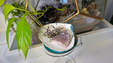 Load image into Gallery viewer, Amethyst Crystal &amp; Artificial Moss in Blue Seashell
