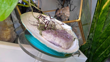 Load image into Gallery viewer, Amethyst Crystal &amp; Artificial Moss in Blue Seashell
