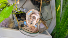 Load image into Gallery viewer, Seashell w/ Opalite Crystals &amp; Artificial Moss
