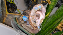 Load image into Gallery viewer, Seashell w/ Opalite Crystals &amp; Artificial Moss
