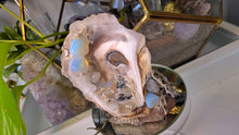 Load image into Gallery viewer, Seashell w/ Opalite Crystals &amp; Artificial Moss
