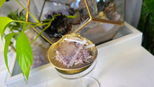 Load image into Gallery viewer, Amethyst Quartz Selenite Crystal &amp; Artificial Moss in Seashell
