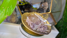 Load image into Gallery viewer, Amethyst Quartz Selenite Crystal &amp; Artificial Moss in Seashell
