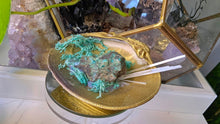 Load image into Gallery viewer, Emerald Selenite Crystal &amp; Artificial Moss in Seashell
