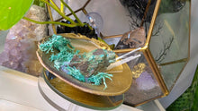 Load image into Gallery viewer, Emerald Selenite Crystal &amp; Artificial Moss in Seashell
