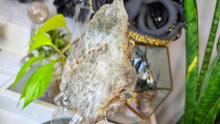 Load image into Gallery viewer, 6" Prasiolite Green Amethyst Crystal Slab
