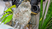 Load image into Gallery viewer, 6" Prasiolite Green Amethyst Crystal Slab
