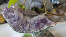 Load image into Gallery viewer, 7" Dark Chunky Brazil Amethyst Crystal Cluster
