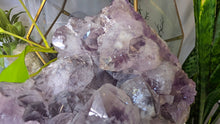 Load image into Gallery viewer, 7" Dark Chunky Brazil Amethyst Crystal Cluster
