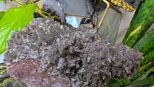 Load image into Gallery viewer, 5" Rare Dogtooth Calcite Crystal Cluster
