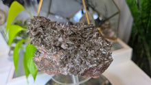 Load image into Gallery viewer, 5" Rare Dogtooth Calcite Crystal Cluster
