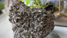 Load image into Gallery viewer, 5" Rare Dogtooth Calcite Crystal Cluster
