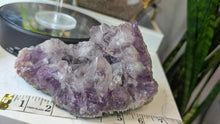 Load image into Gallery viewer, 7" Dark Chunky Brazil Amethyst Crystal Cluster
