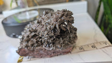 Load image into Gallery viewer, 5" Rare Dogtooth Calcite Crystal Cluster
