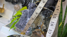 Load image into Gallery viewer, 5" Rare Druzy Black Amethyst Crystal Cluster
