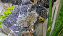 Load image into Gallery viewer, 5" Rare Druzy Black Amethyst Crystal Cluster
