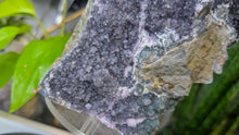 Load image into Gallery viewer, 5" Rare Druzy Black Amethyst Crystal Cluster
