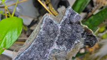 Load image into Gallery viewer, 5" Rare Druzy Black Amethyst Crystal Cluster
