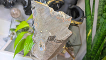 Load image into Gallery viewer, 5" Rare Druzy Black Amethyst Crystal Cluster
