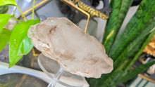 Load image into Gallery viewer, 5" Smokey Elestial Celestial Quartz Crystal
