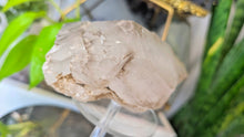 Load image into Gallery viewer, 5" Smokey Elestial Celestial Quartz Crystal
