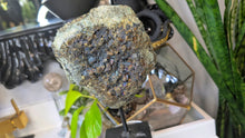 Load image into Gallery viewer, 8" Electroplated Pyrite Crystal Cluster on Stand
