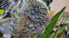 Load image into Gallery viewer, 8" Electroplated Pyrite Crystal Cluster on Stand
