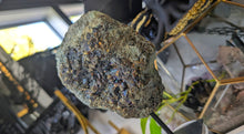 Load image into Gallery viewer, 8" Electroplated Pyrite Crystal Cluster on Stand
