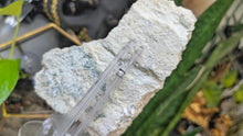 Load image into Gallery viewer, 7" Rare Bulgarian Mangano Calcite Crystal
